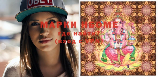 ГАЛЛЮЦИНОГЕННЫЕ ГРИБЫ Гусь-Хрустальный