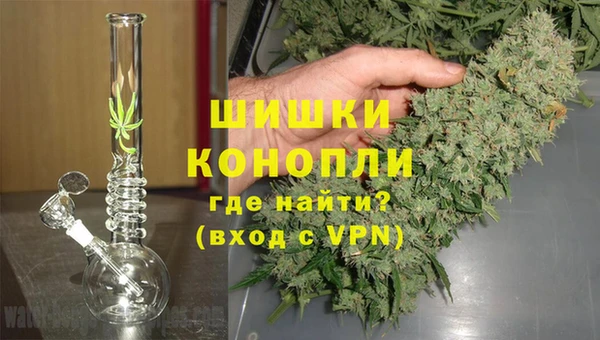 прущая мука Гусиноозёрск