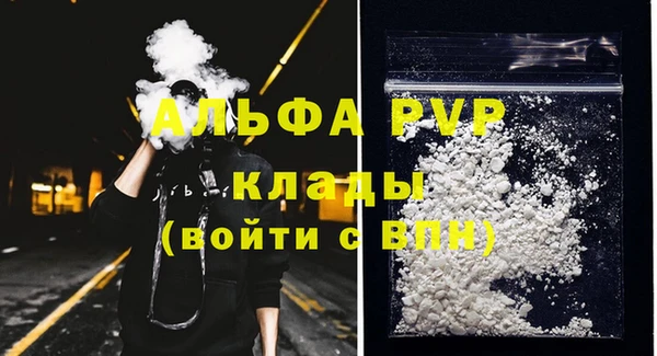 ГАЛЛЮЦИНОГЕННЫЕ ГРИБЫ Гусь-Хрустальный