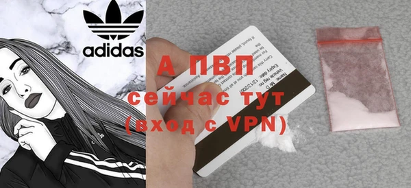 ГАЛЛЮЦИНОГЕННЫЕ ГРИБЫ Гусь-Хрустальный