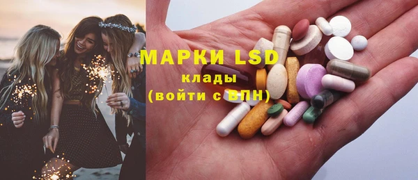 ГАЛЛЮЦИНОГЕННЫЕ ГРИБЫ Гусь-Хрустальный